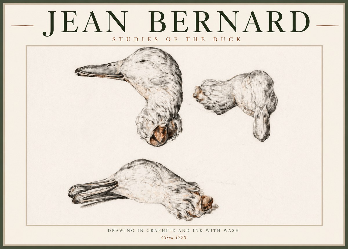 Jean Bernard Studies of the Duck No4 - Póster