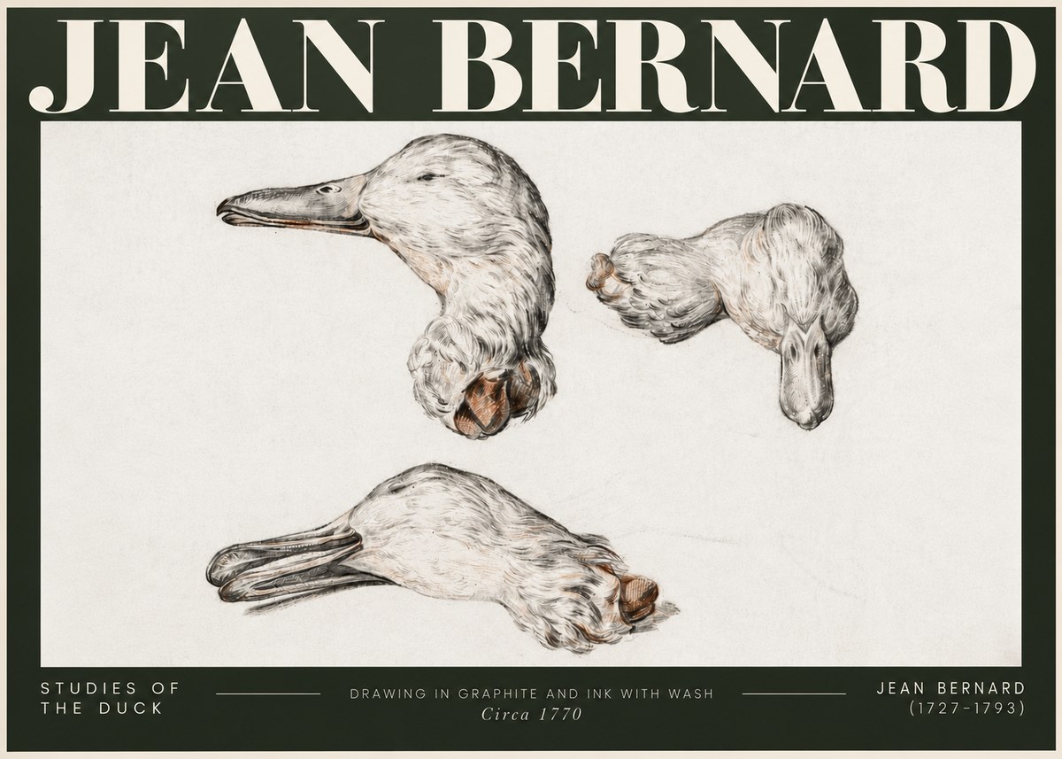 Jean Bernard Studies of the Duck No5 - Póster
