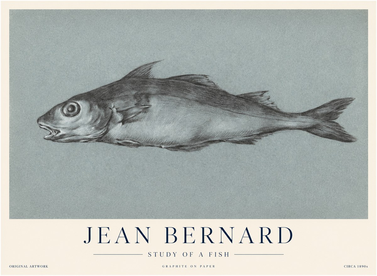 Jean Bernard Fish Study I No4 - Póster