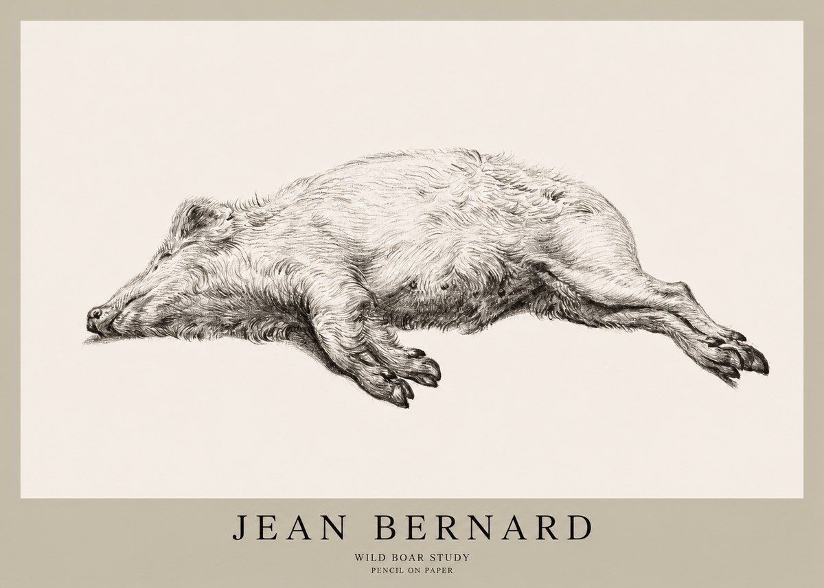 Jean Bernard Wild Boar Study No1 - Póster