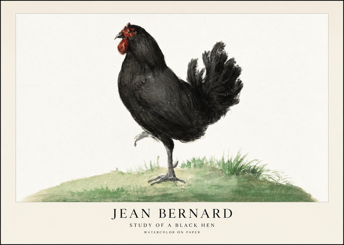 Jean Bernard Study of a Black Hen No1 - Póster