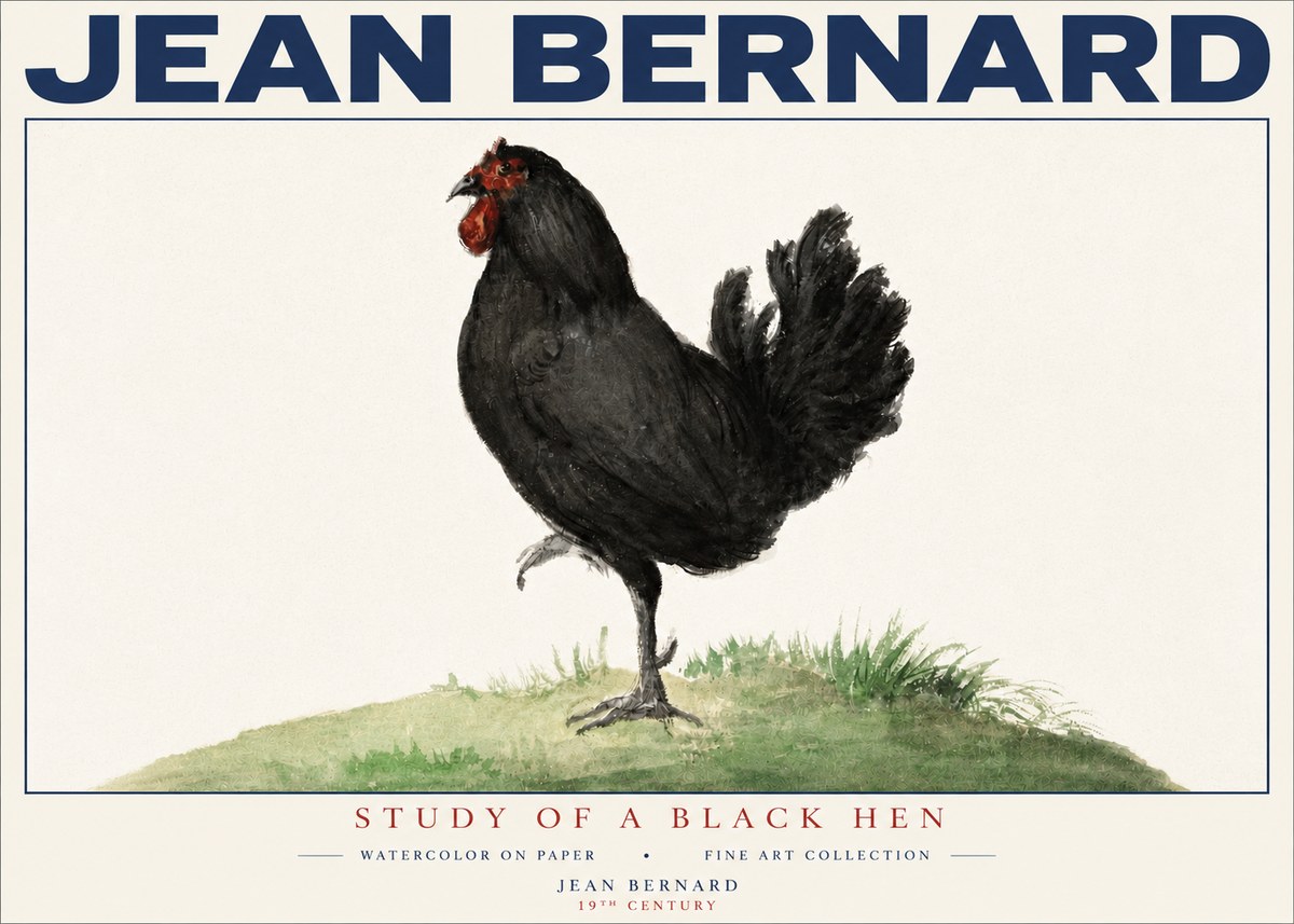 Jean Bernard Study of a Black Hen No4 - Póster