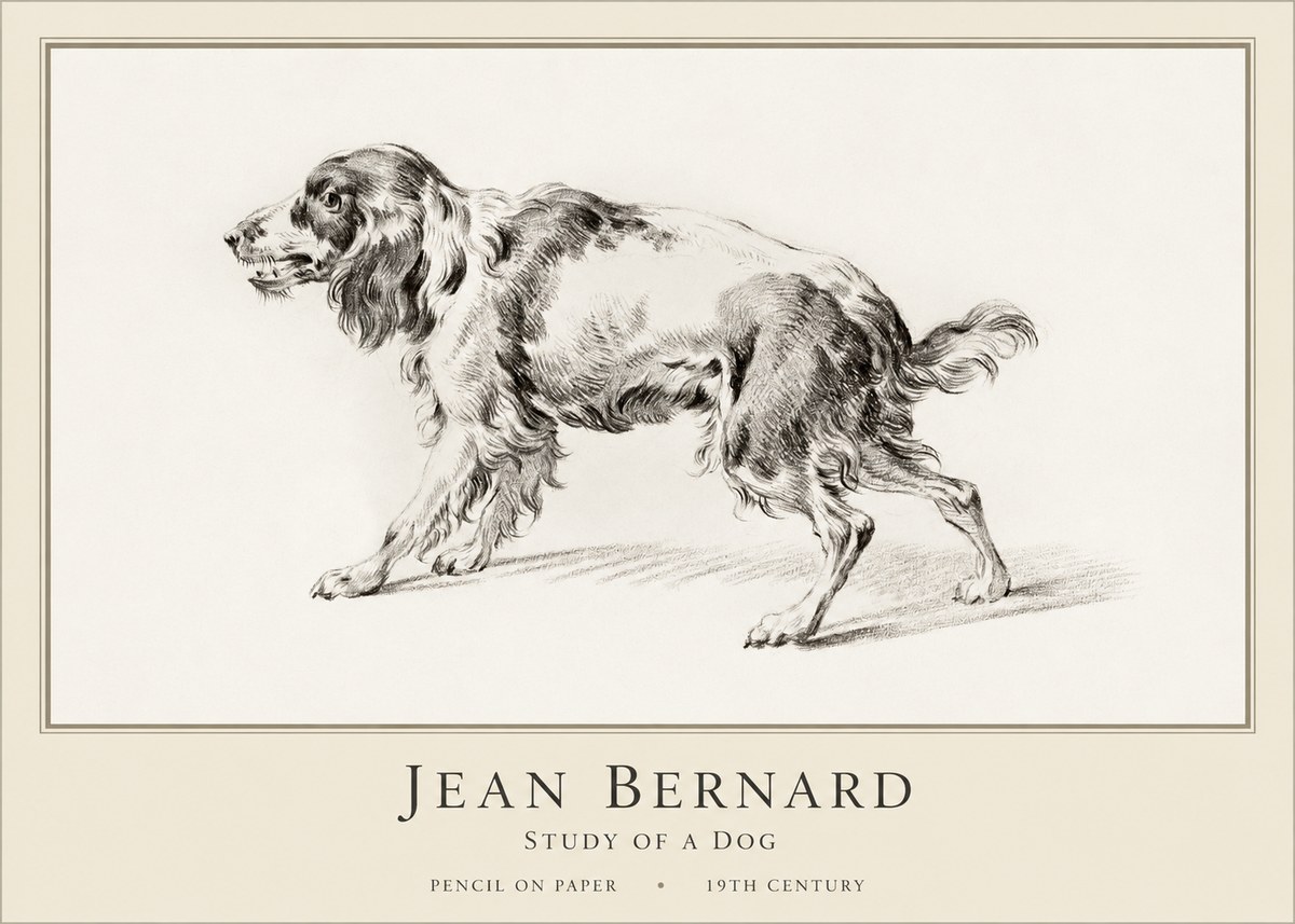 Jean Bernard Study of a Dog V No1 - Póster