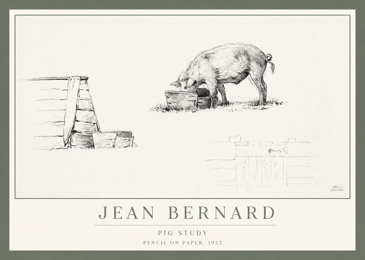 Jean Bernard Pig Study No1 - Póster