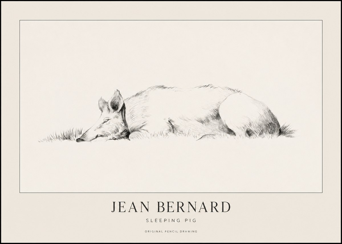 Jean Bernard Sleeping Pig II No1 - Póster