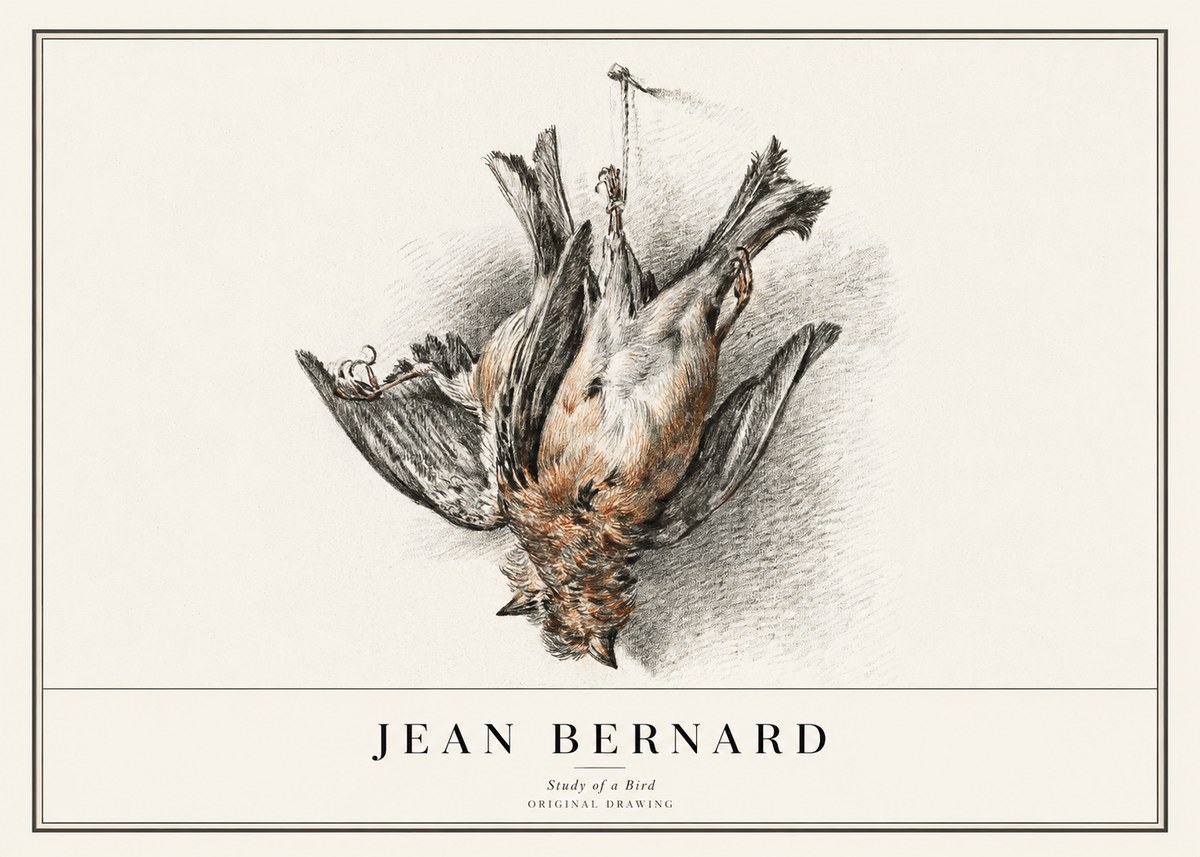 Jean Bernard Study of a Bird IV No1 - Póster
