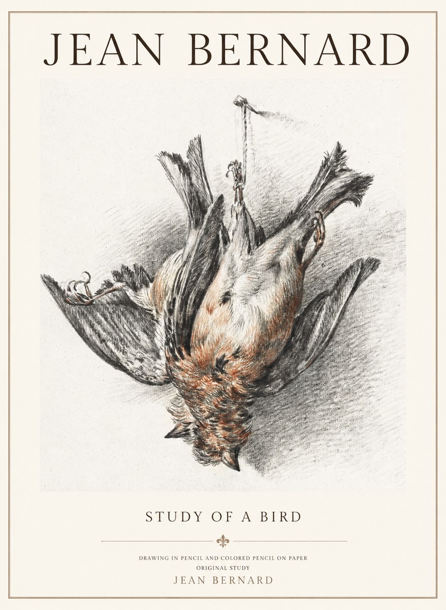 Jean Bernard Study of a Bird IV No3 - Póster