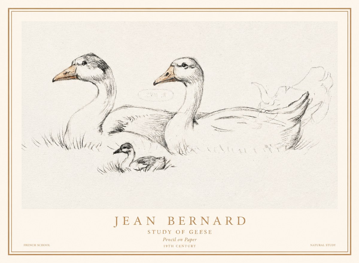 Jean Bernard Study of Geese No1 - Póster