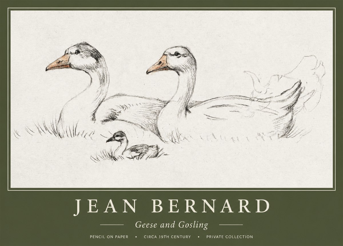 Jean Bernard Study of Geese No2 - Póster