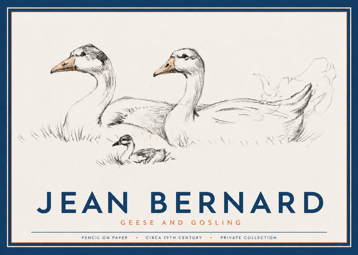 Jean Bernard Study of Geese No3 - Póster