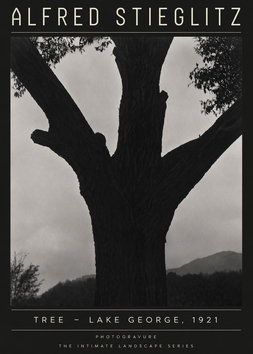 Alfred Stieglitz Tree - Lake George, 1921 No4 - Póster
