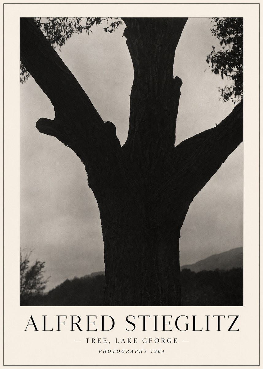 Alfred Stieglitz Tree - Lake George, 1921 No5 - Póster