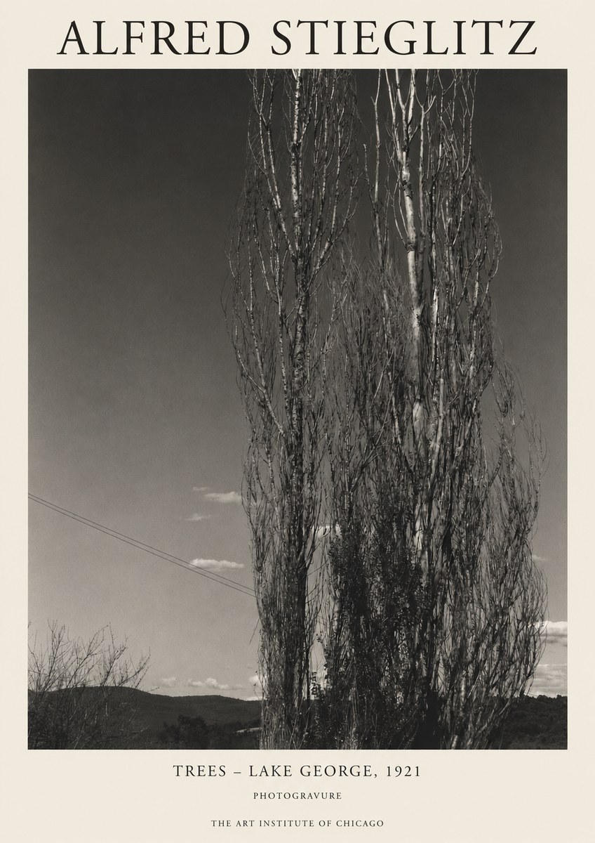 Alfred Stieglitz Trees - Lake George, 1921 No1 - Póster