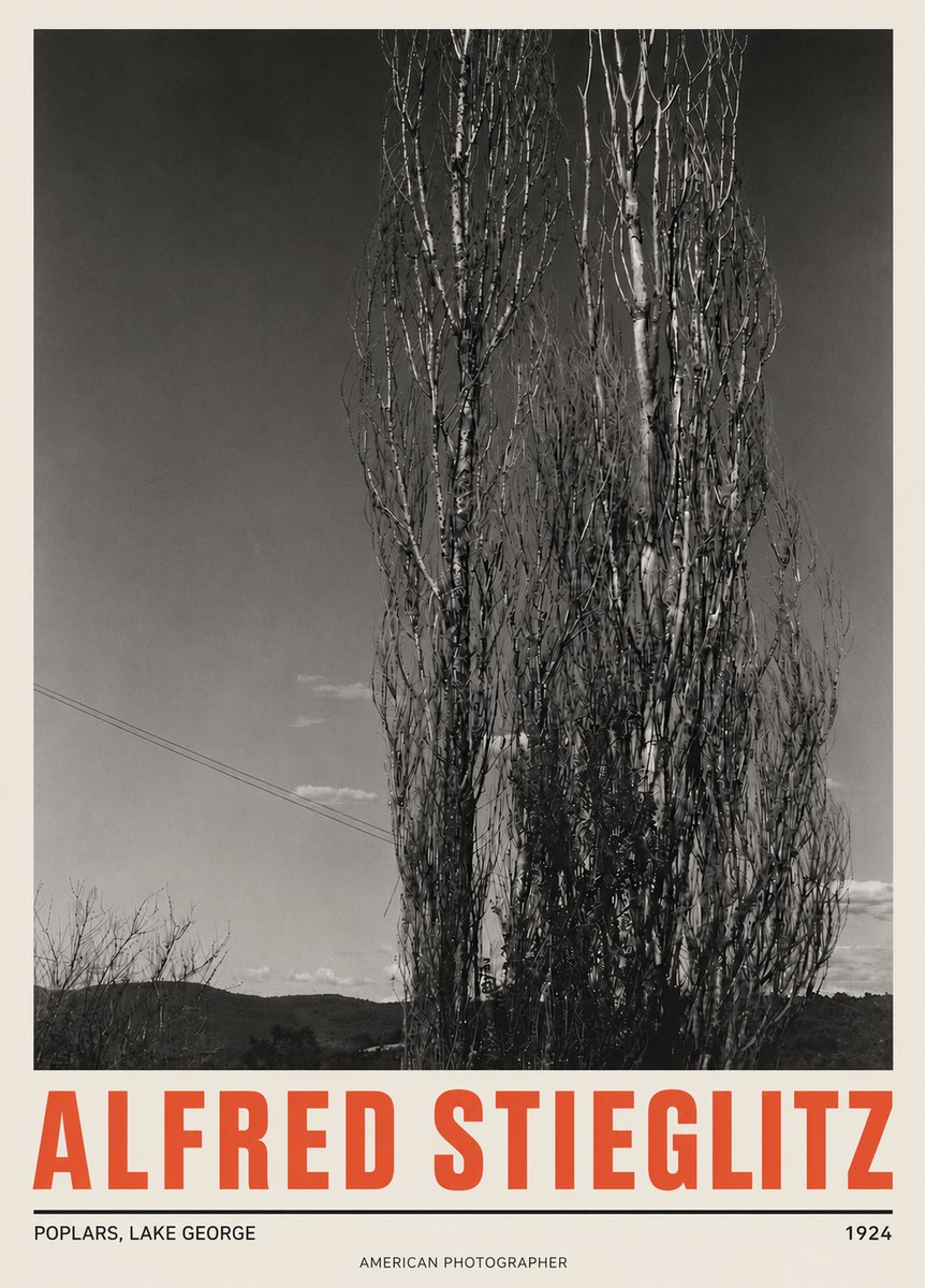 Alfred Stieglitz Trees - Lake George, 1921 No5 - Póster