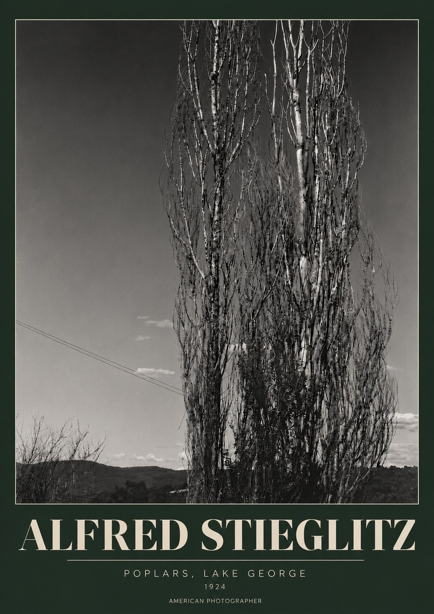 Alfred Stieglitz Trees - Lake George, 1921 No6 - Póster