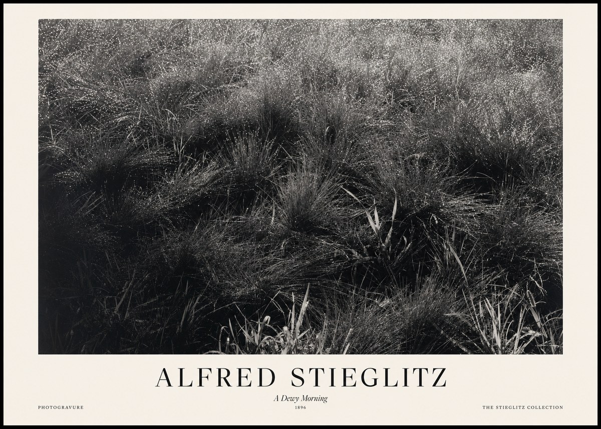 Alfred Stieglitz A Dewy Morning No1 - Póster