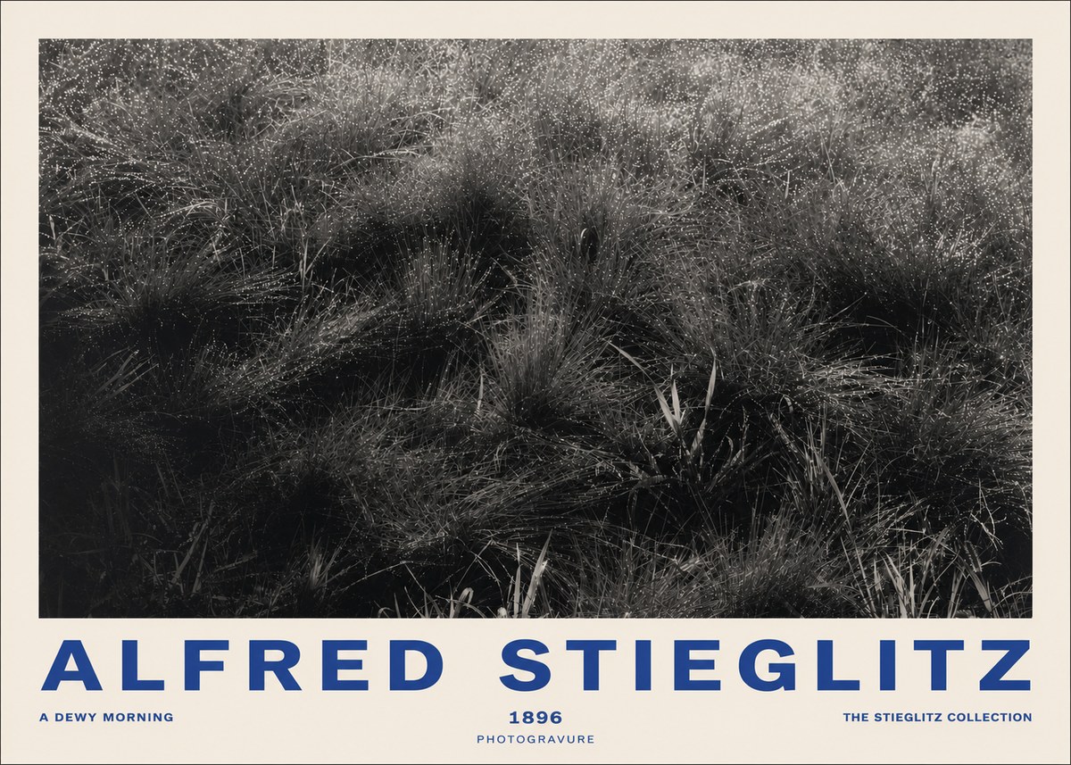Alfred Stieglitz A Dewy Morning No2 - Póster
