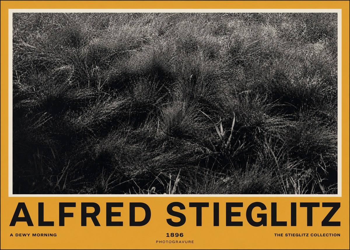 Alfred Stieglitz A Dewy Morning No4 - Póster