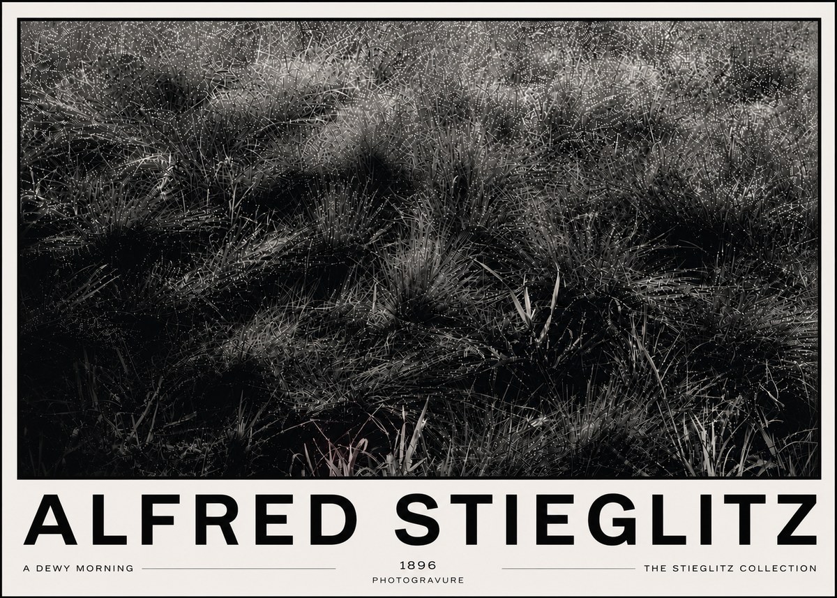 Alfred Stieglitz A Dewy Morning No6 - Póster