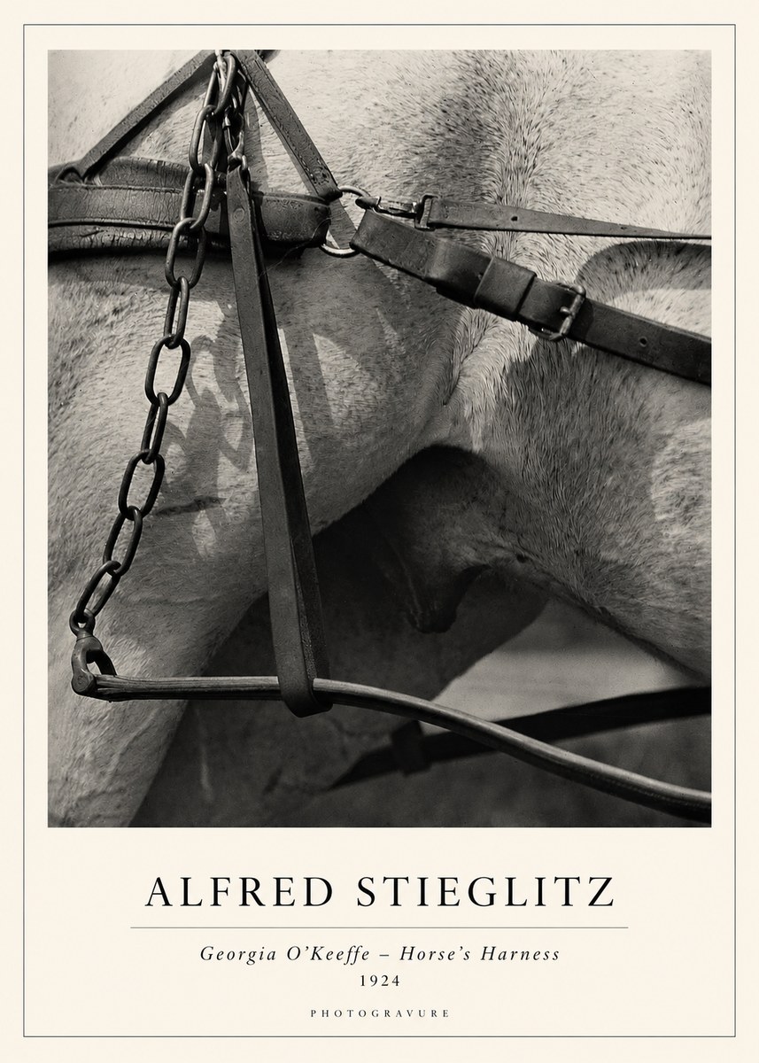 Alfred Stieglitz The Steerage I No2 - Póster