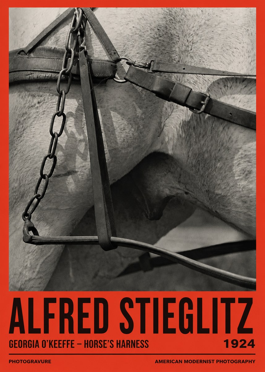 Alfred Stieglitz The Steerage I No3 - Póster