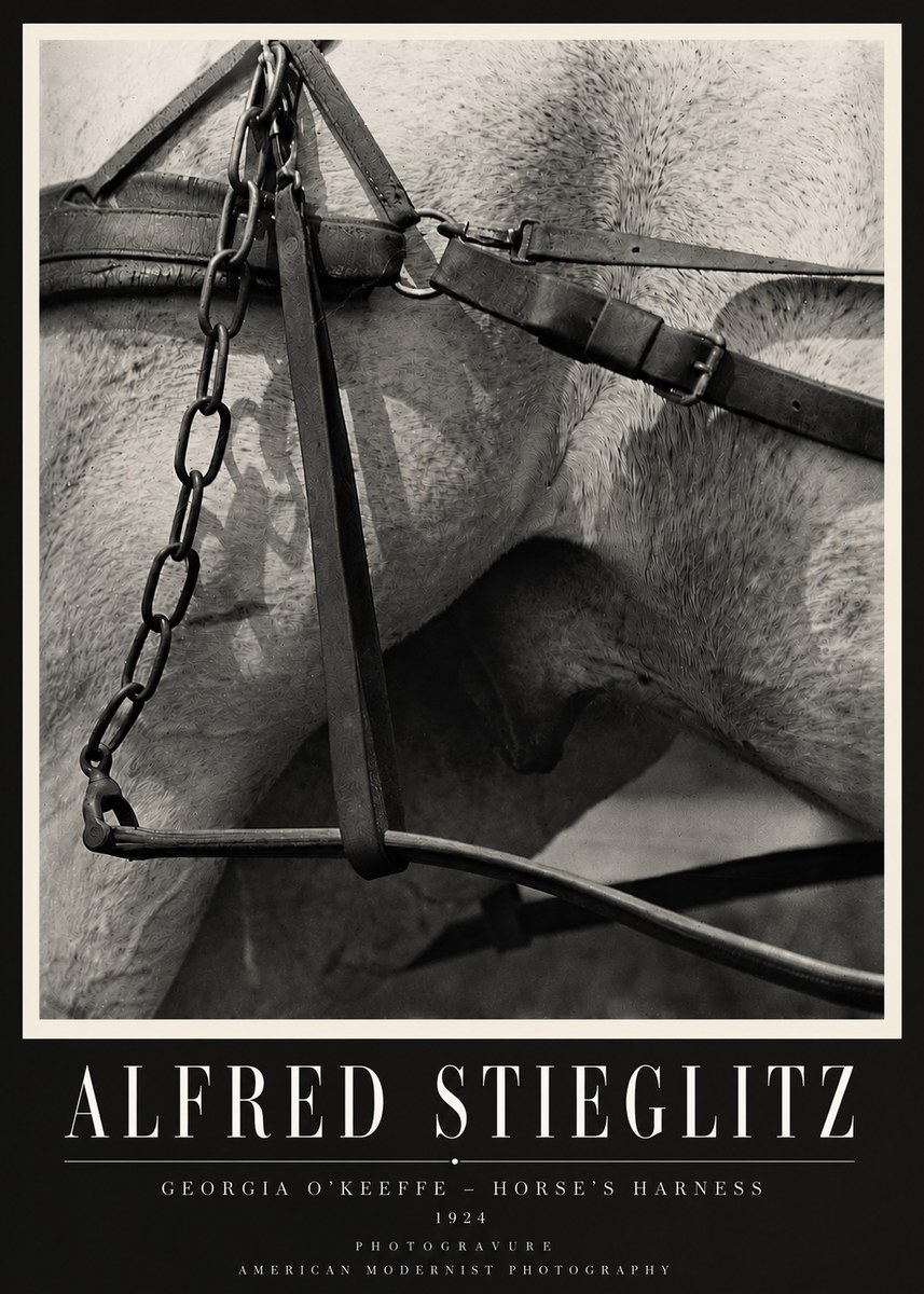 Alfred Stieglitz The Steerage I No4 - Póster
