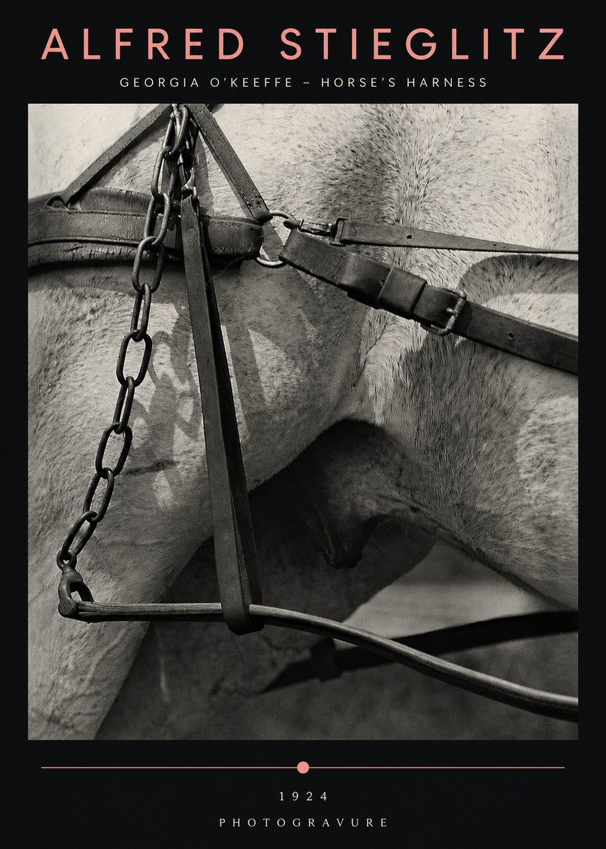 Alfred Stieglitz The Steerage I No5 - Póster