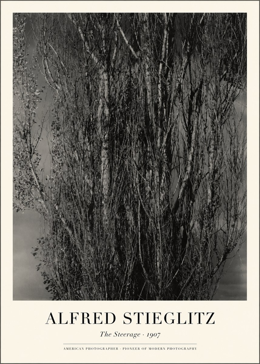 Alfred Stieglitz The Steerage II No1 - Póster