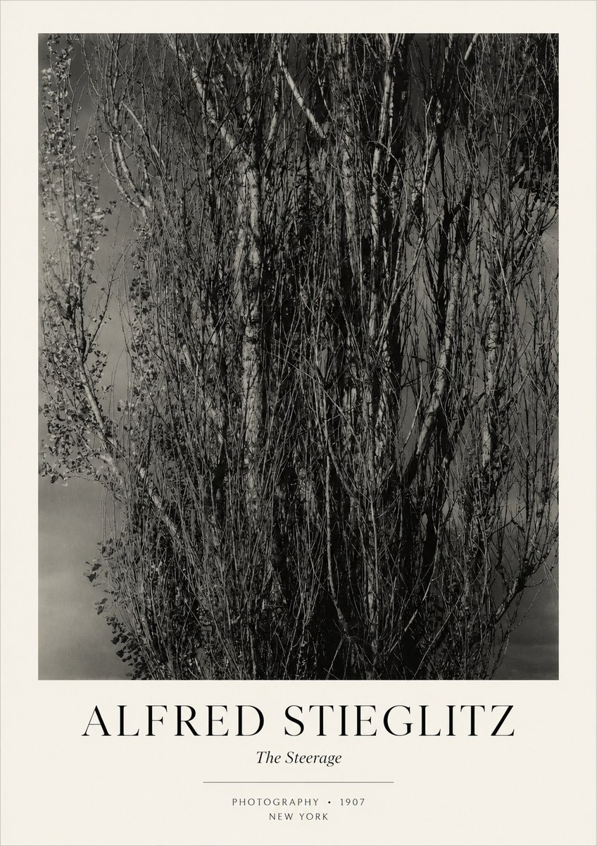 Alfred Stieglitz The Steerage II No3 - Póster