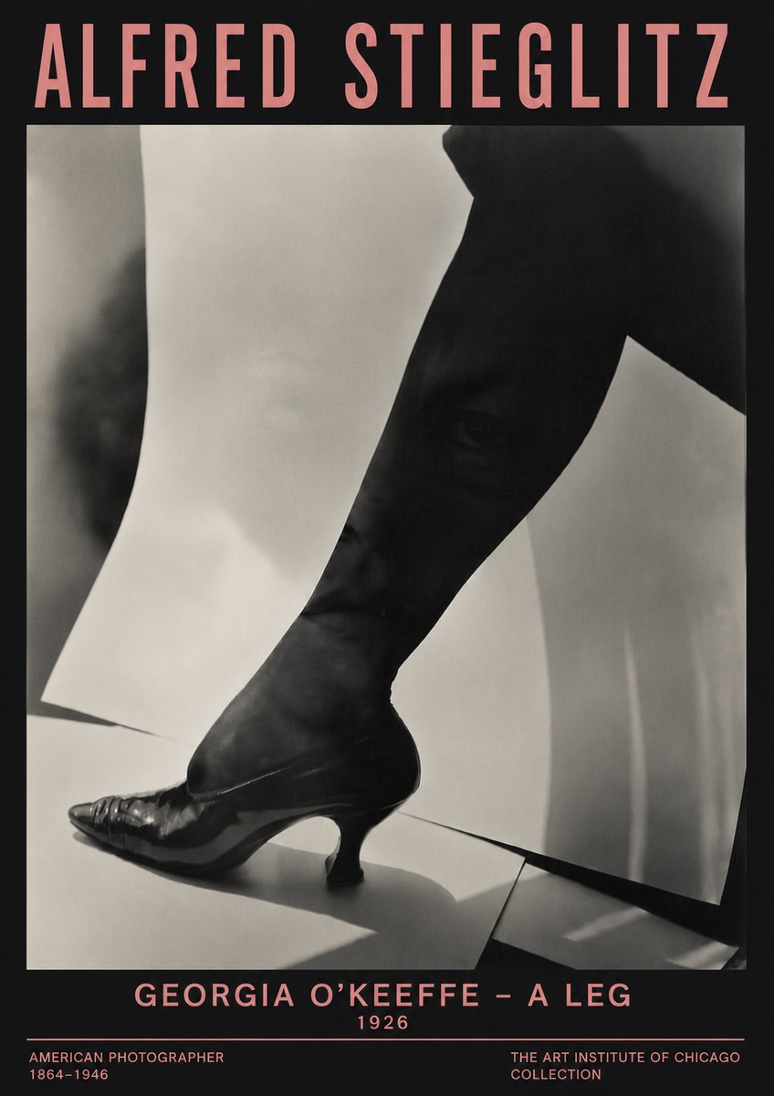 Alfred Stieglitz Georgia O'keeffe – a Leg No6 - Póster
