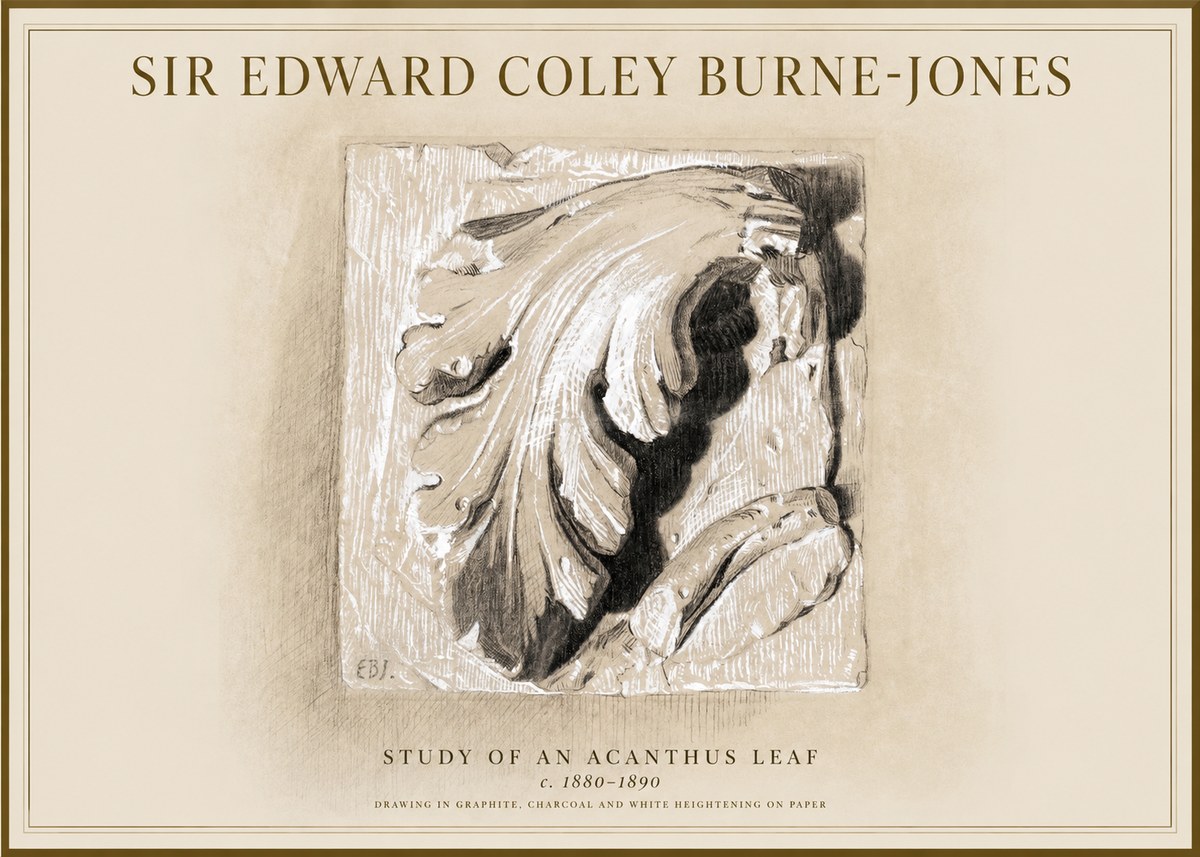 Edward Burne-Jones Study of an Acanthus Leaf No1 - Póster