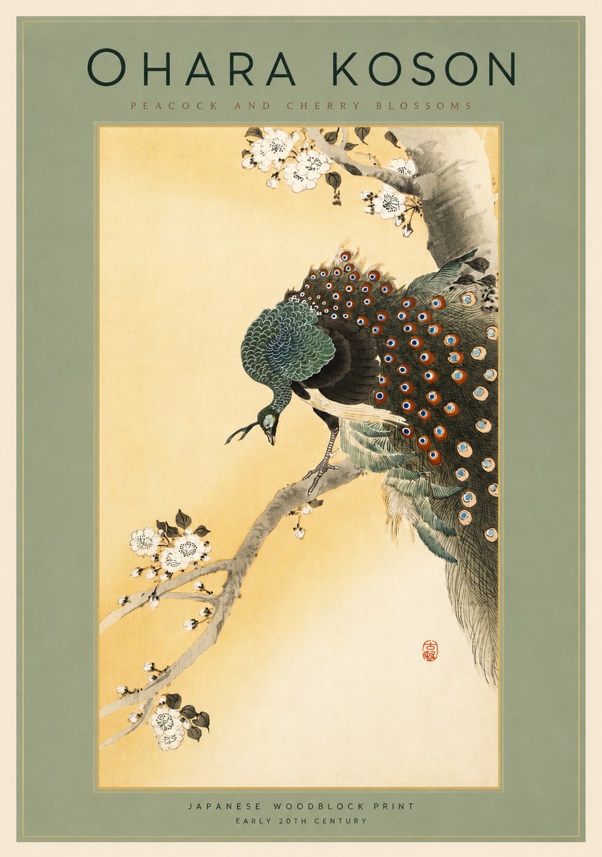 Ohara Koson Peacock and Cherry Blossoms No2 - Póster