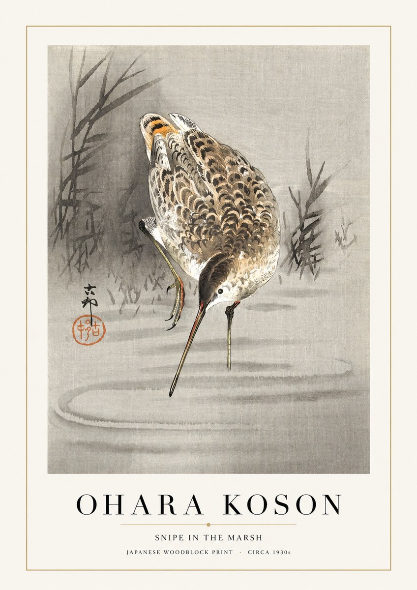 Ohara Koson Snipe in the Marsh No1 - Póster