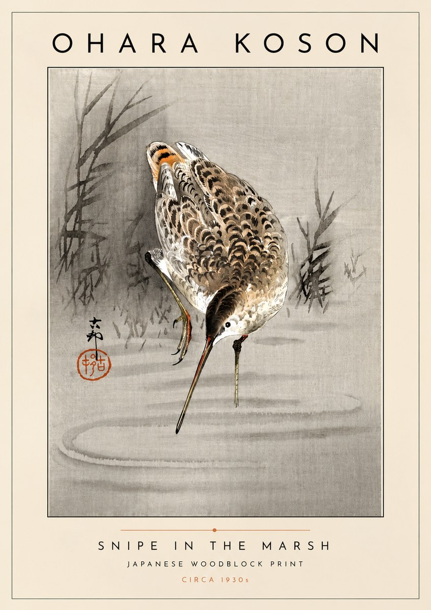 Ohara Koson Snipe in the Marsh No4 - Póster