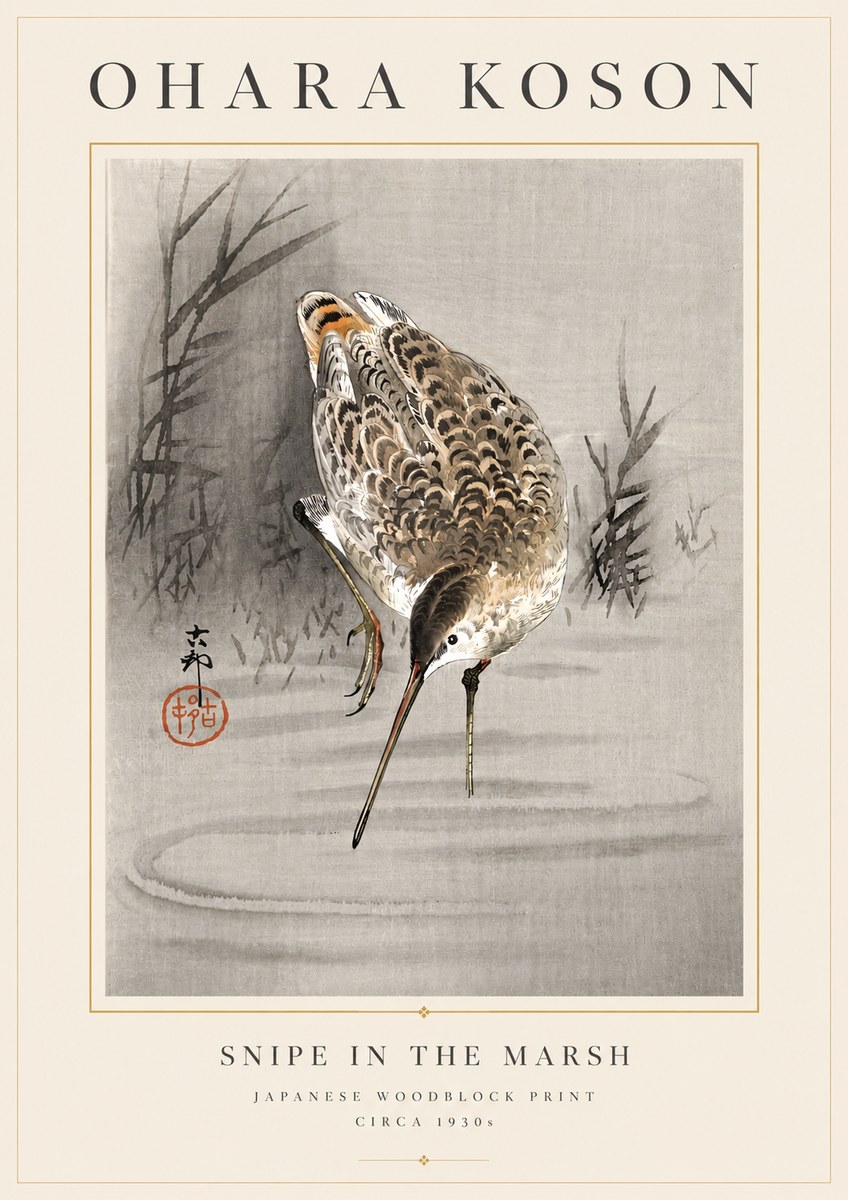 Ohara Koson Snipe in the Marsh No6 - Póster