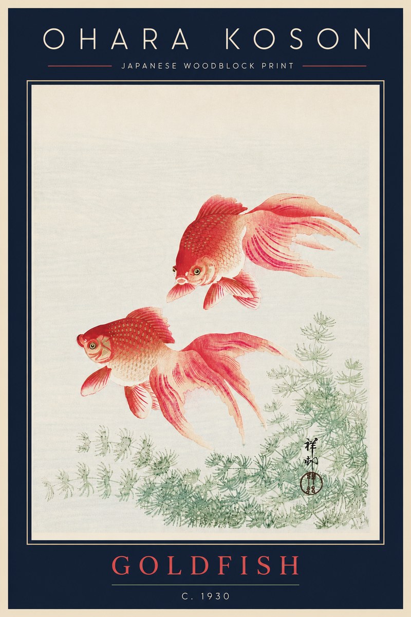 Ohara Koson Goldfish No5 - Póster