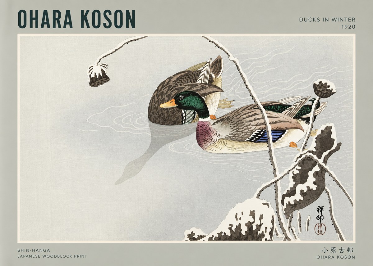 Ohara Koson Ducks in Winter No3 - Póster