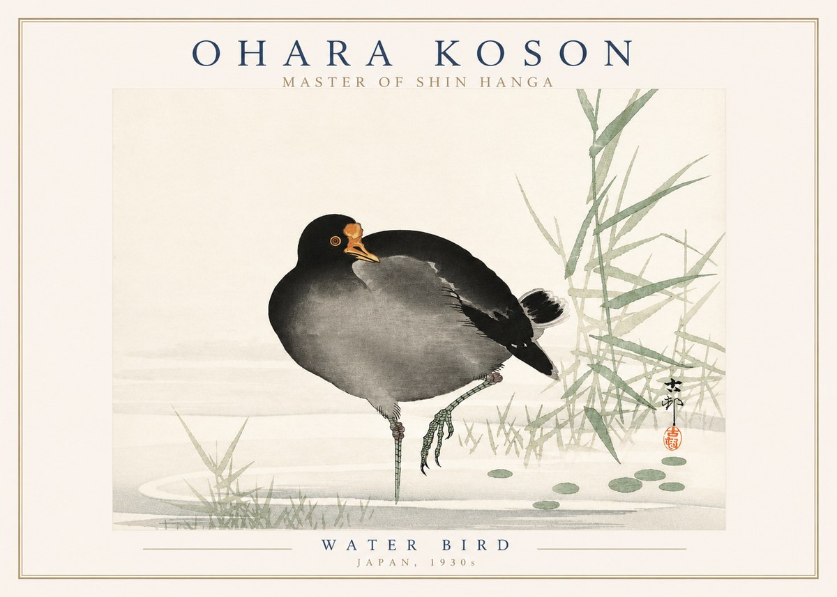 Ohara Koson Water Bird No3 - Póster