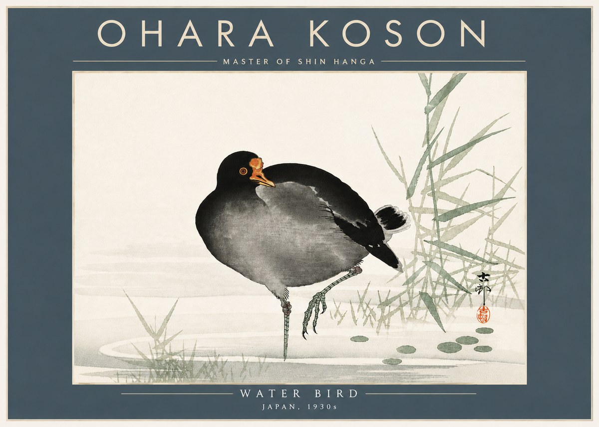 Ohara Koson Water Bird No5 - Póster