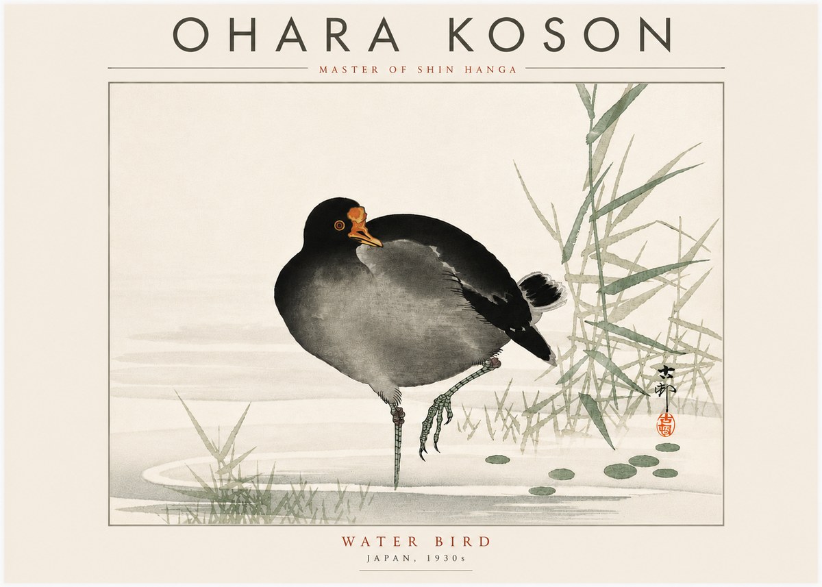 Ohara Koson Water Bird No6 - Póster