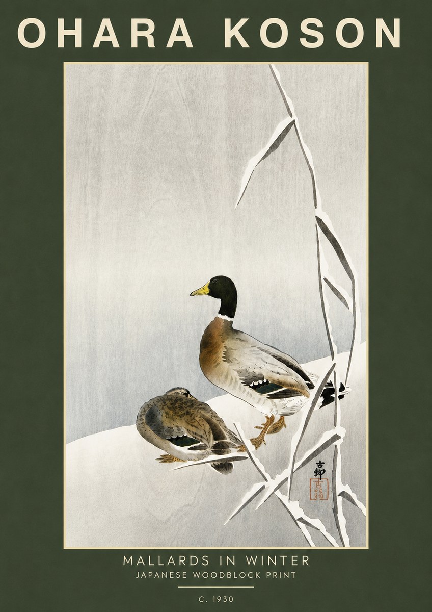 Ohara Koson Mallards in Winter No5 - Póster