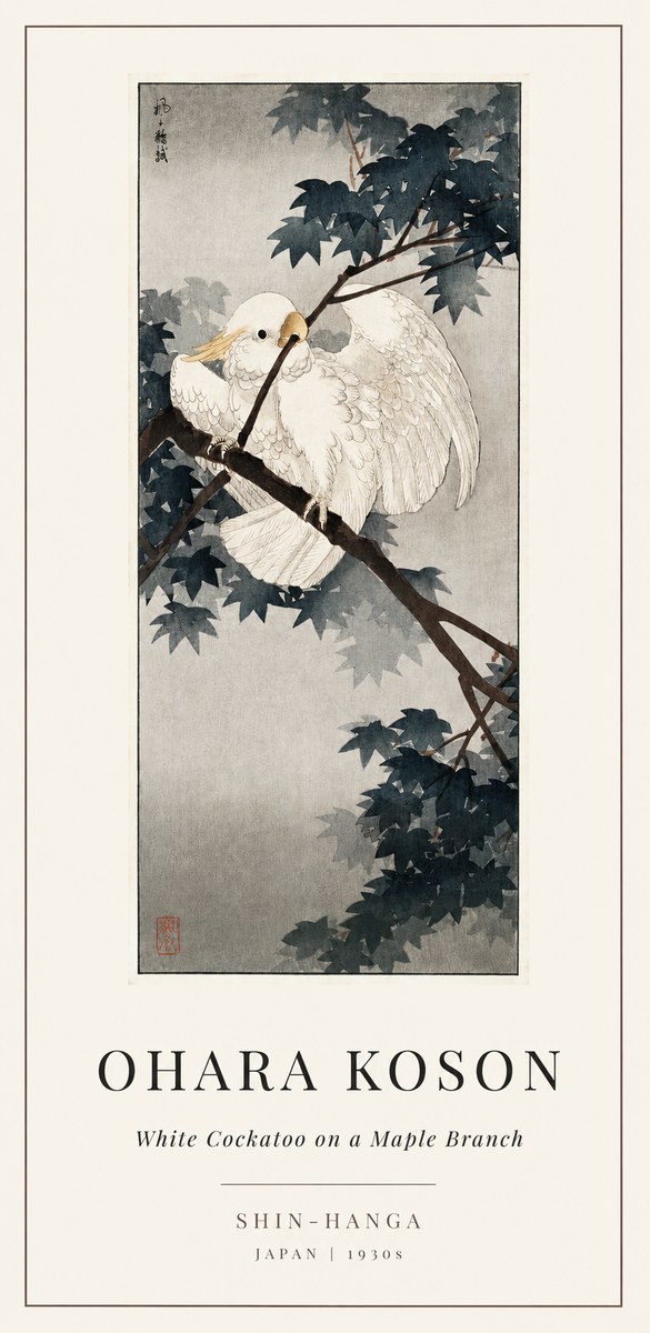 Ohara Koson White Cockatoo on a Maple Branch No1 - Póster