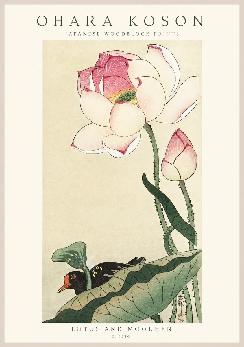 Ohara Koson Lotus and Moorhen No1 - Póster