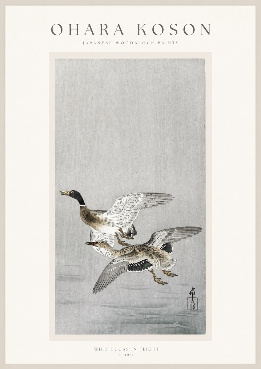Ohara Koson Wild Ducks in Flight No1 - Póster