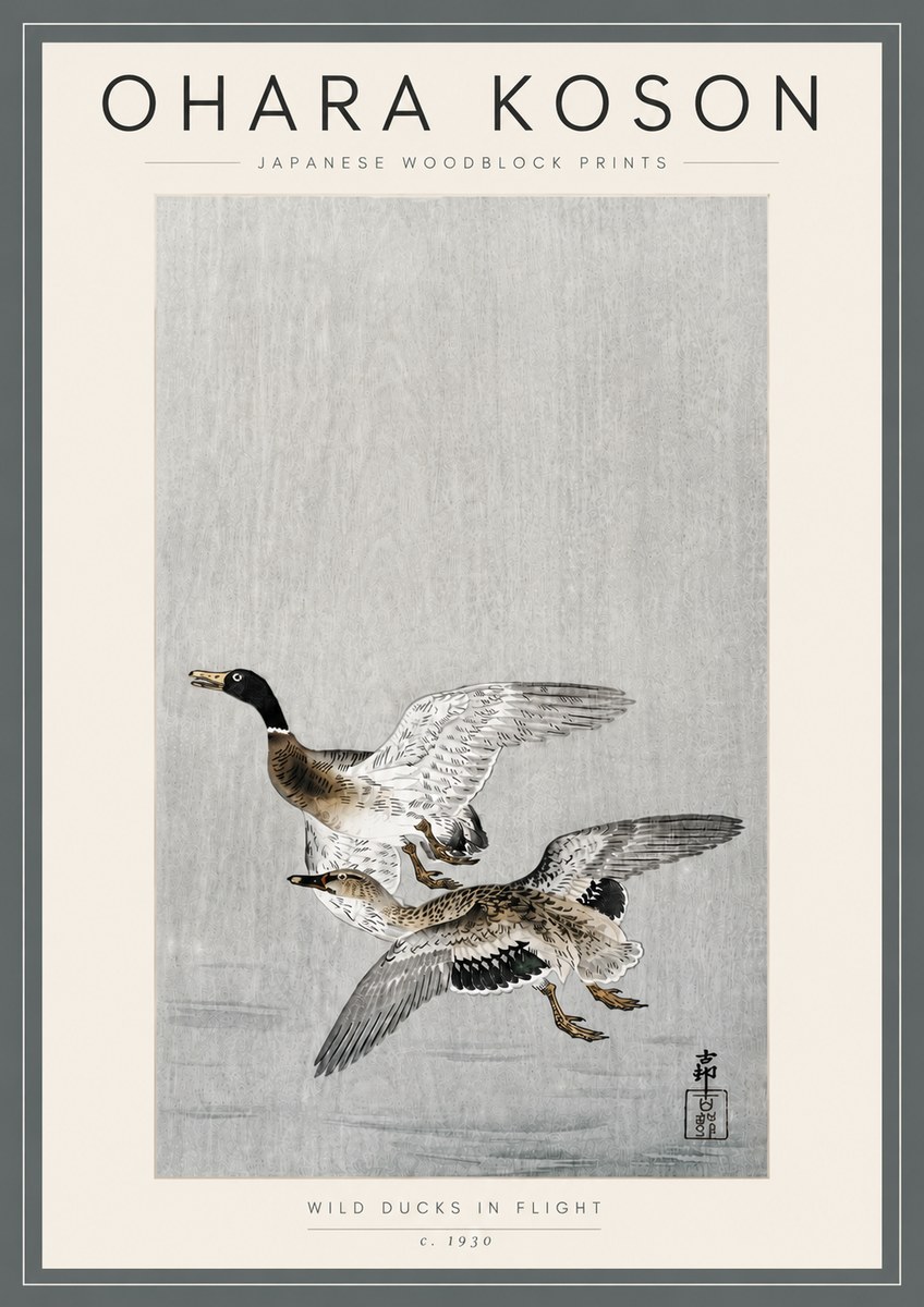 Ohara Koson Wild Ducks in Flight No5 - Póster