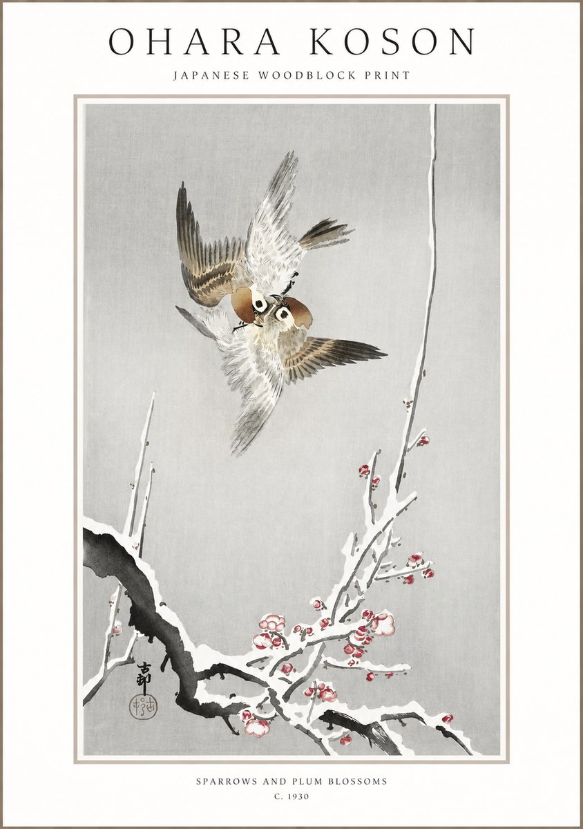 Ohara Koson Sparrows and Plum Blossoms No1 - Póster