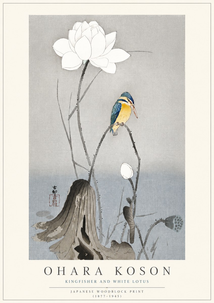 Ohara Koson Kingfisher and White Lotus No3 - Póster