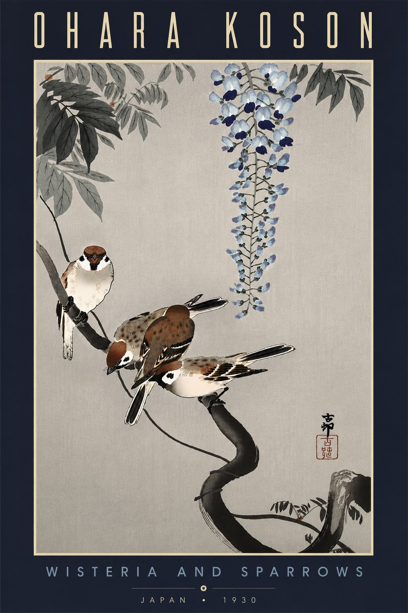 Ohara Koson Wisteria and Sparrows No6 - Póster