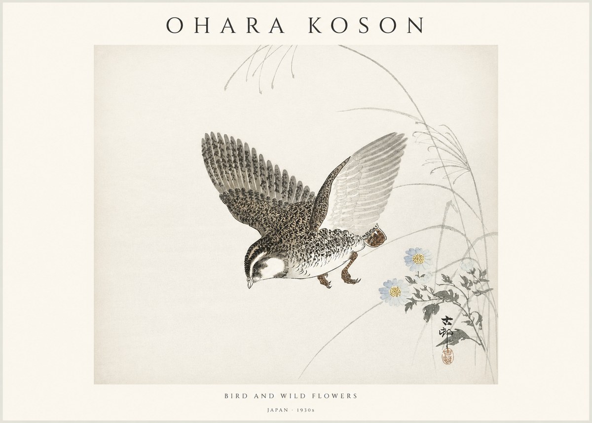 Ohara Koson Bird and Wild Flowers No1 - Póster