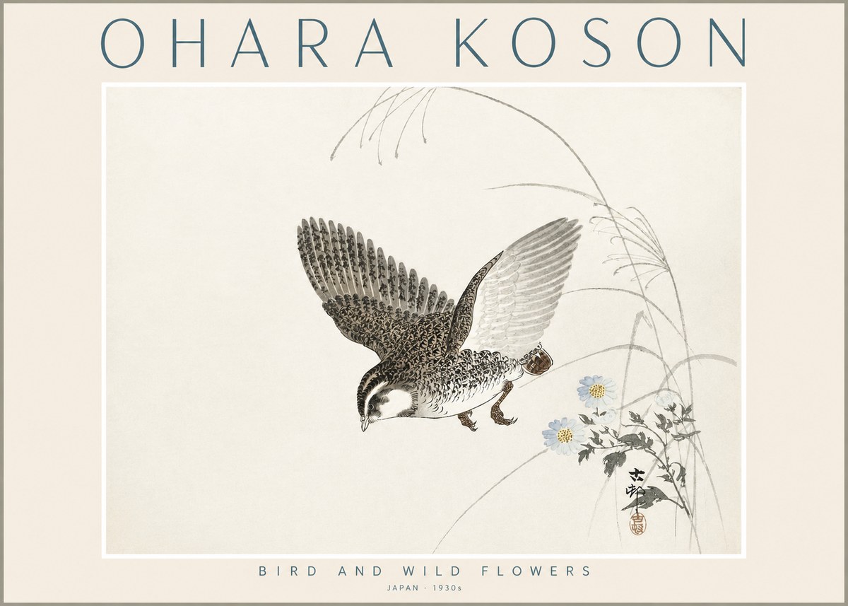 Ohara Koson Bird and Wild Flowers No2 - Póster